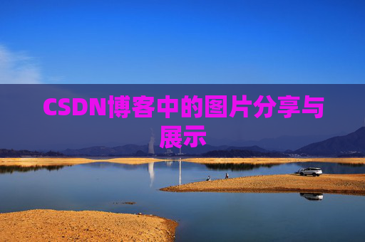 CSDN博客中的图片分享与展示
